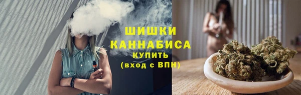 сатива Богородск