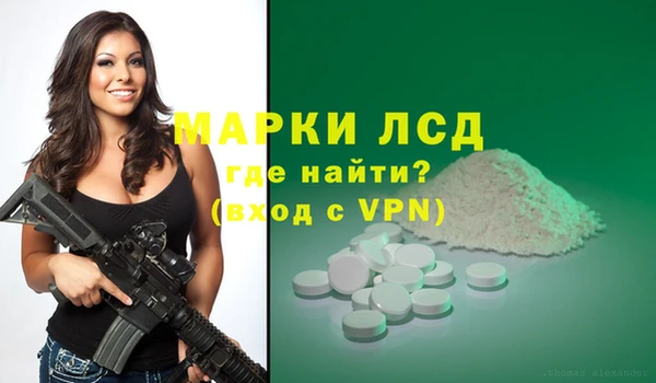 гашиш Богданович