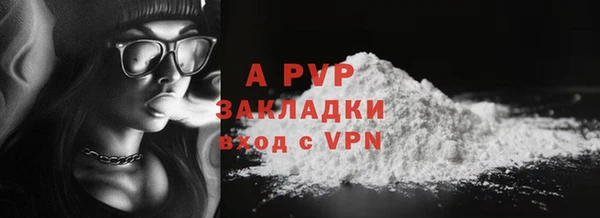 гашиш Богданович