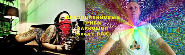 MDMA Богородицк