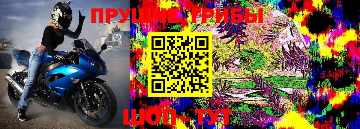 Псилоцибиновые грибы GOLDEN TEACHER Абинск