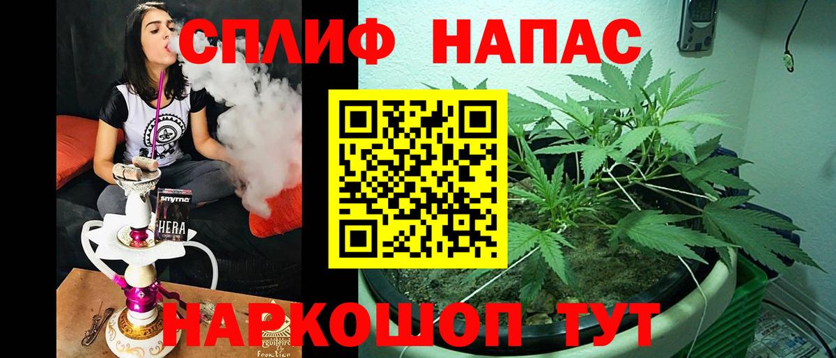 Каннабис семена Абинск
