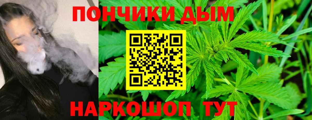 Бошки Шишки Абинск